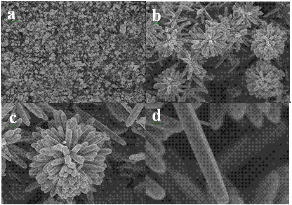 Method for loading titania microflowers on shaped carbon material
