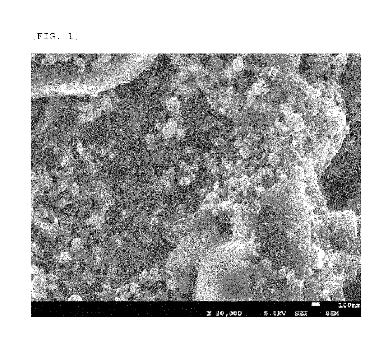 Negative electrode material for lithium ion secondary battery