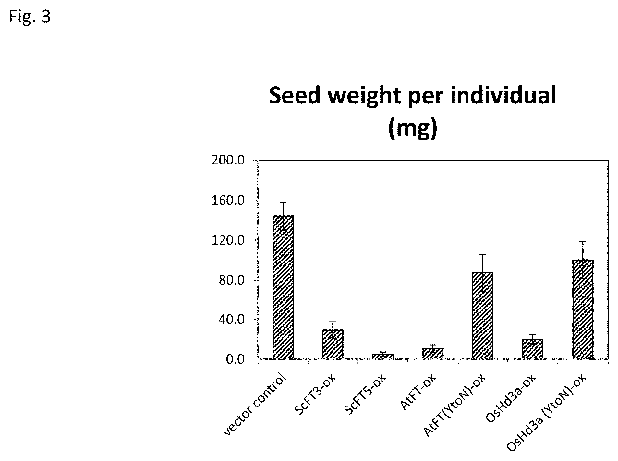 Mutant-type flowering-inducing gene, transformed plant having the mutant-type flowering-inducing gene, and flowering regulation method using the mutant-type flowering-inducing gene