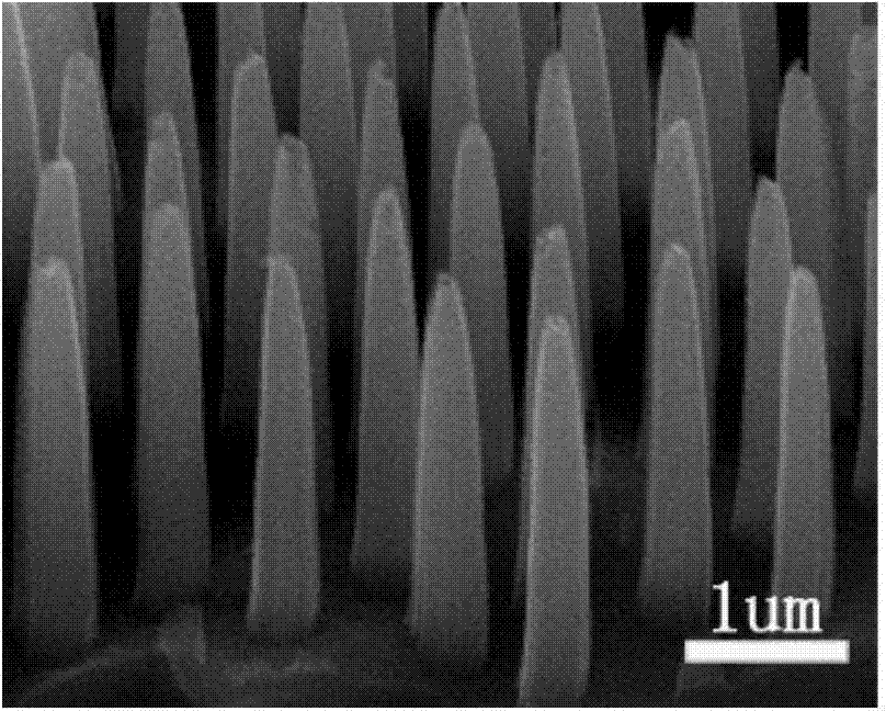 A preparation method of silicon nanowire array with excellent field emission performance and tip structure