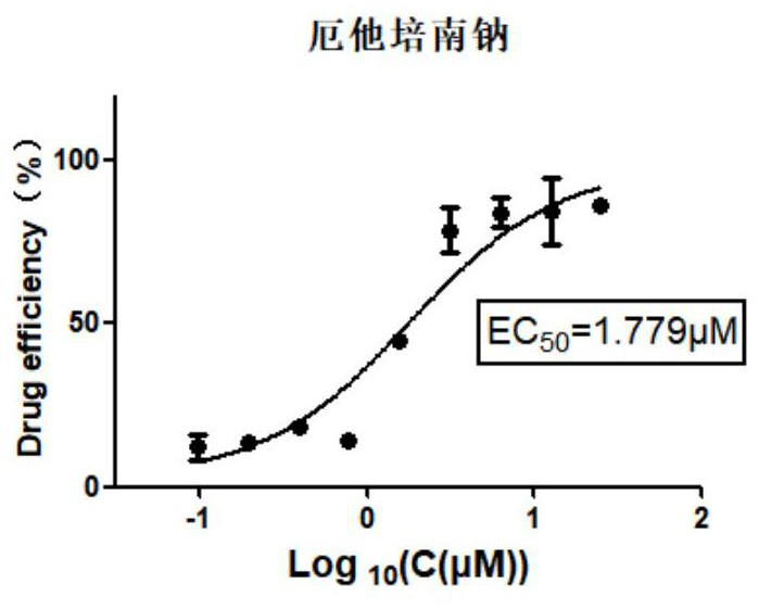 Application of ertapenem sodium in preparation of medicine for preventing and treating bovine infectious rhinotracheitis