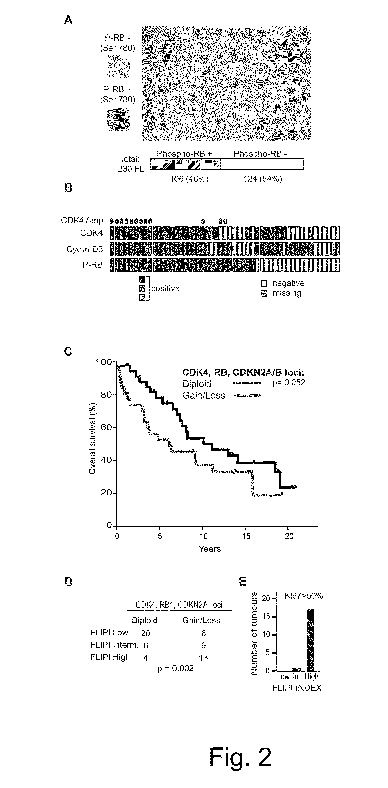 Methods for Treatment of Lymphomas with Mutations in Cell Cycle Genes