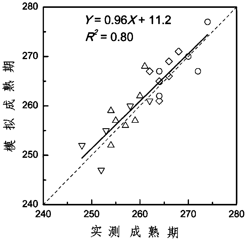 A calculation method for separating the influence of key factors on crop phenology based on a crop growth mechanism model is provided