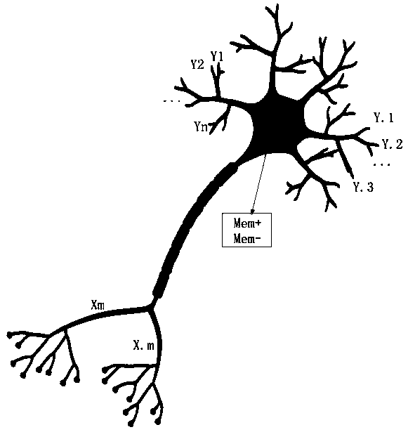 Neuron and neuron circuit constructed by memristor of brain-like device