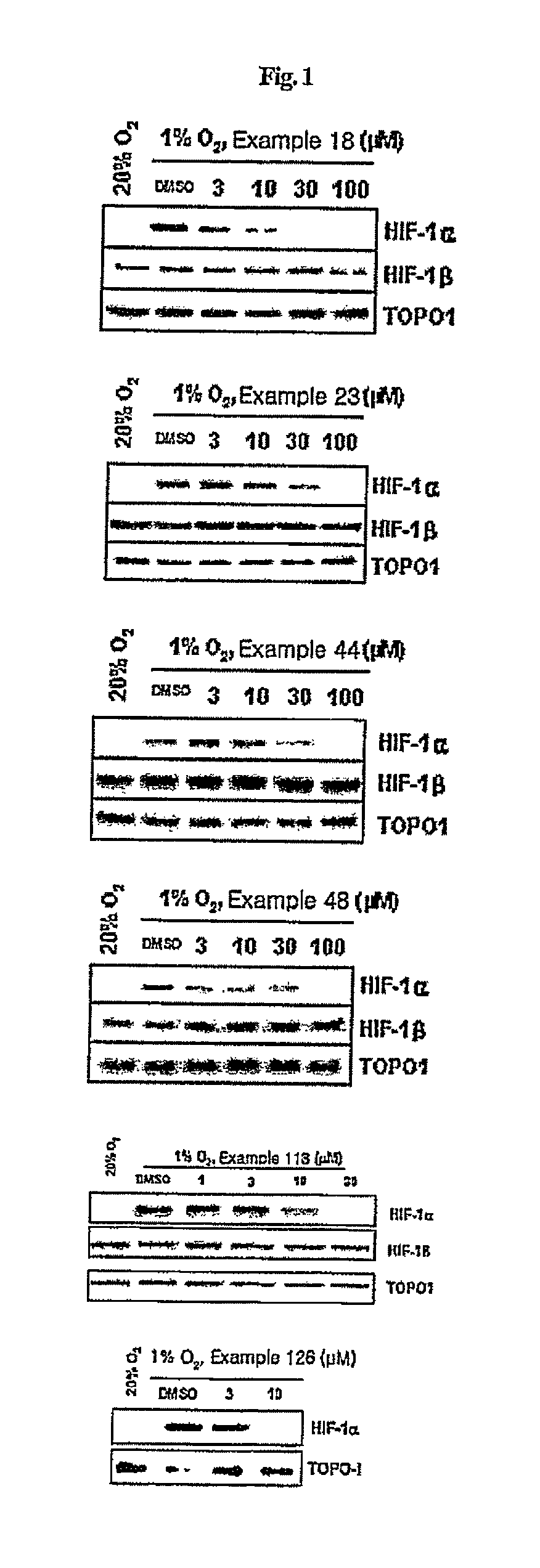 Compounds that inhibit HIF-1 activity, the method for preparation thereof and the pharmaceutical composition containing them as an effective component