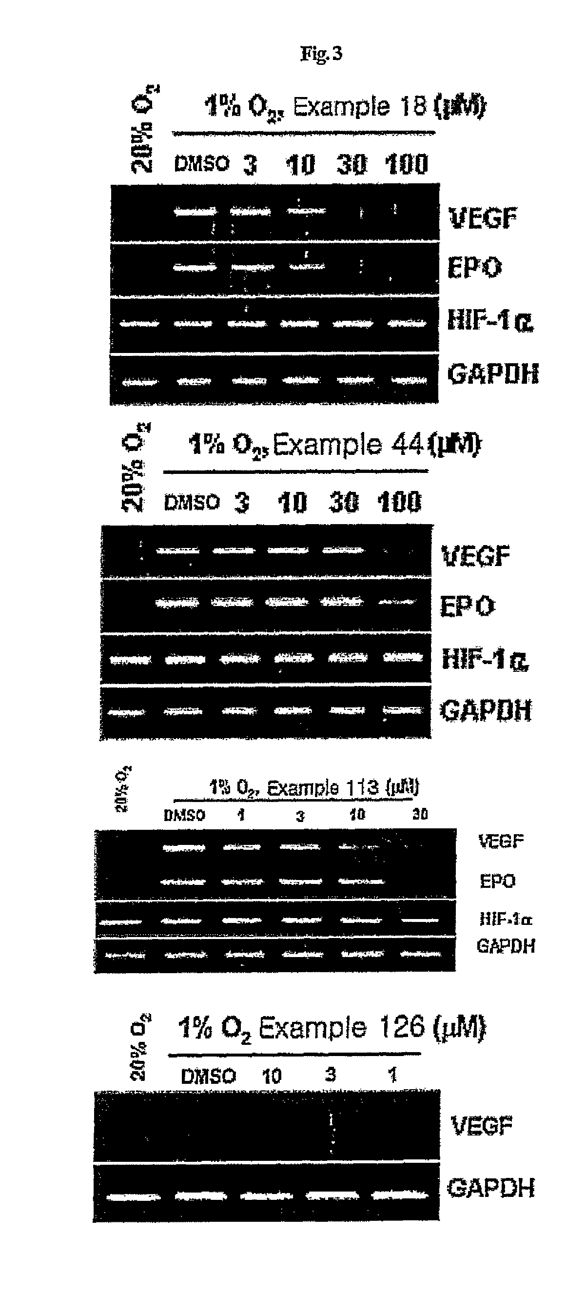 Compounds that inhibit HIF-1 activity, the method for preparation thereof and the pharmaceutical composition containing them as an effective component