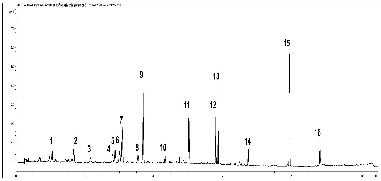 Method for constructing HPLC (high performance liquid chromatography) fingerprint spectrum of medicinal leaves and twigs of rhododendron mariae
