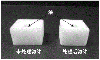 Method for preparing efficient hydrophobic oil-absorbing sponge