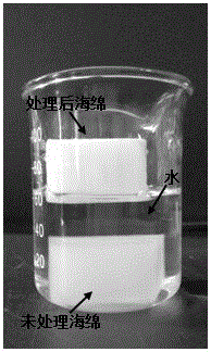 Method for preparing efficient hydrophobic oil-absorbing sponge