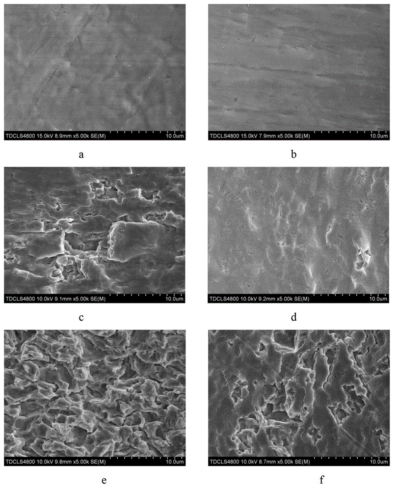 Method for improving cavitation erosion resistance of TC4 titanium alloy based on ion implantation surface modification
