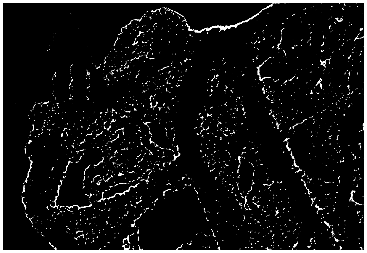 A preparation method of embedded porous pd/c nanoframe and its obtained material and application