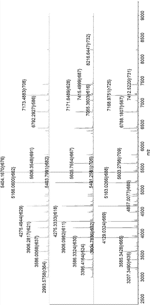 Multifunctional mass spectrometry substrate target holder