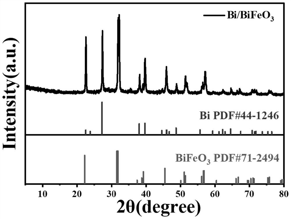 Bismuth/bismuth ferrite visible-light-driven photocatalyst material as well as preparation method and application thereof