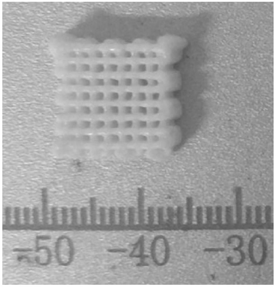 3D printed bone tissue engineering scaffold with slow-release antibacterial function and preparation method