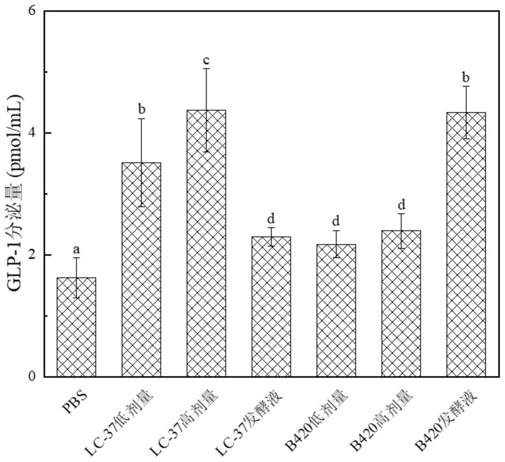 Composition of lactobacillus paracasei LC-37 and application of composition in reducing blood sugar