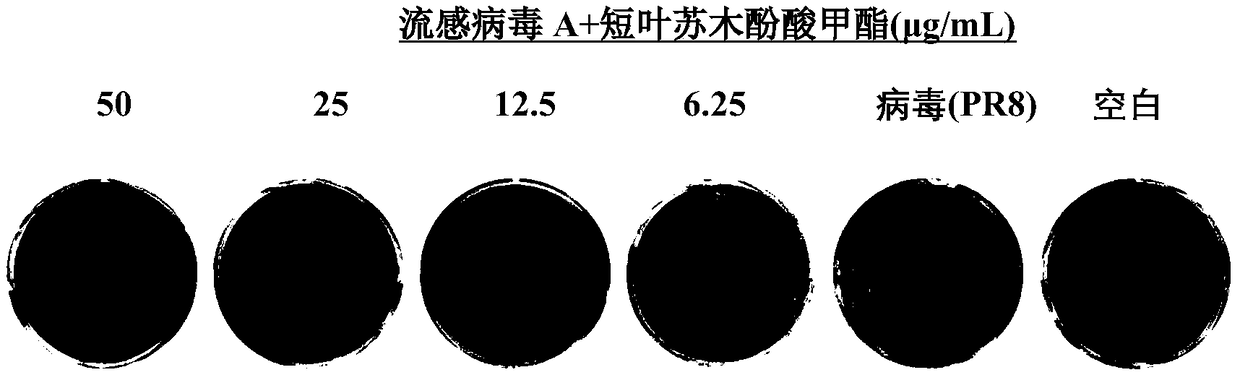 Application of methyl brevifolincarboxylate in preparation of anti-influenza virus medicines