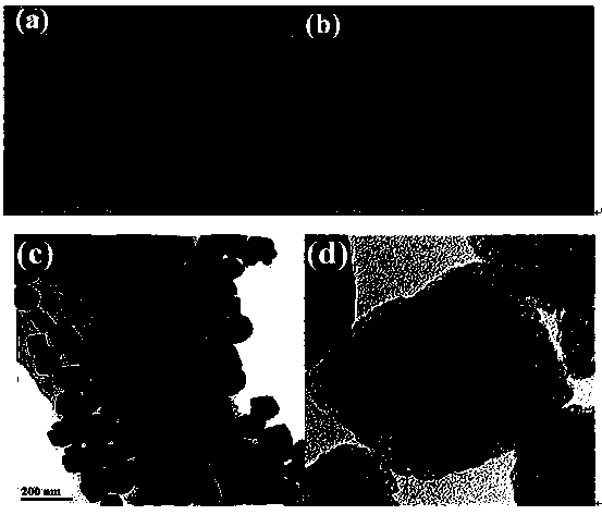 Nano-scale cube cobalt stannate and graphene composite material and preparation method and application thereof