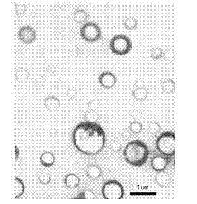 Nanometer lipid ultrasonic contrast agent and preparation method thereof
