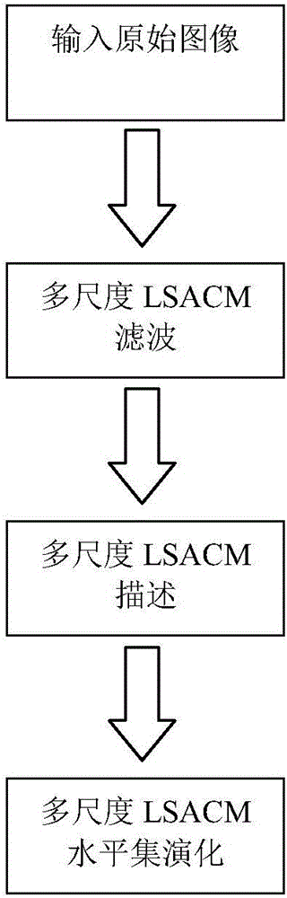 Multi-scale local statistic active contour model (LSACM) level set image segmentation method
