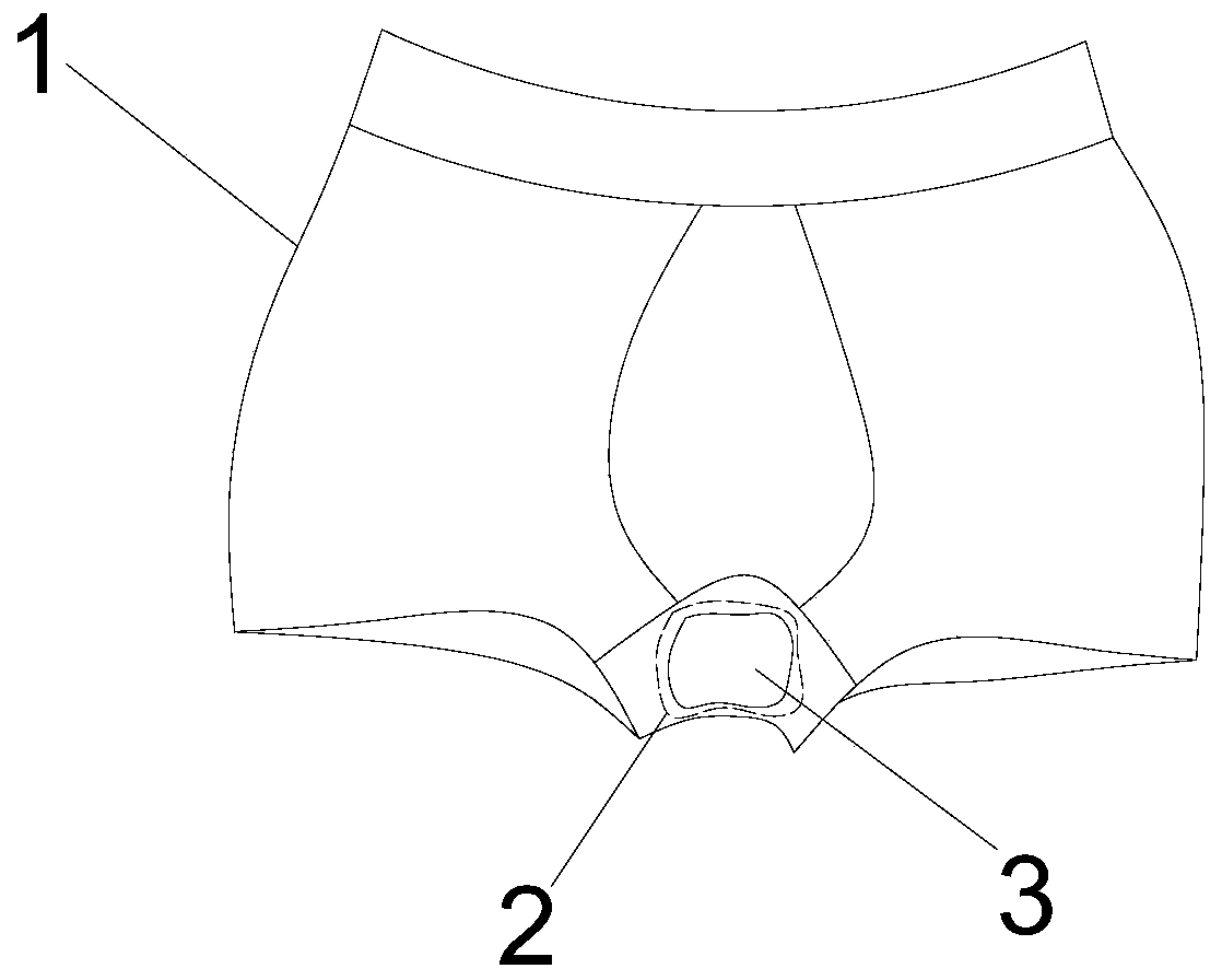 Chinese herbal medicine underpants for preventing and treating male prostate and preparation method thereof