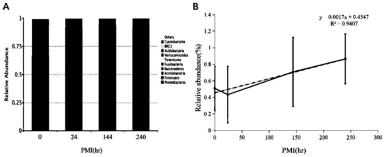 Method for obtaining postmortem interval of mouse