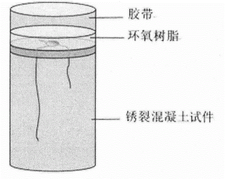 A Method for Observing Reinforced Concrete Rust Crack Based on Two-Stage Rust Crack Model