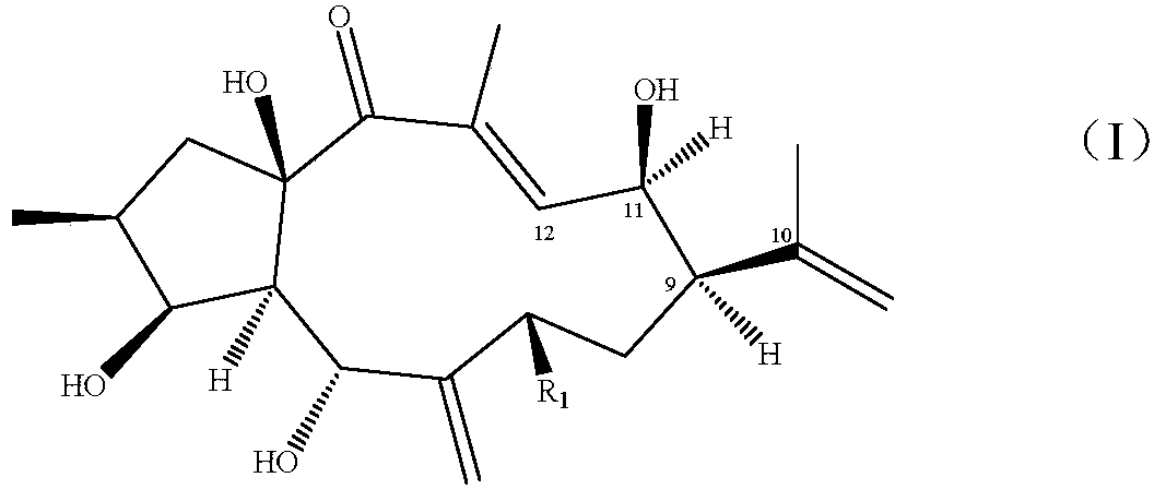 Transformation method and application of structurally rearranged derivatives of diterpene-type compounds of caperia