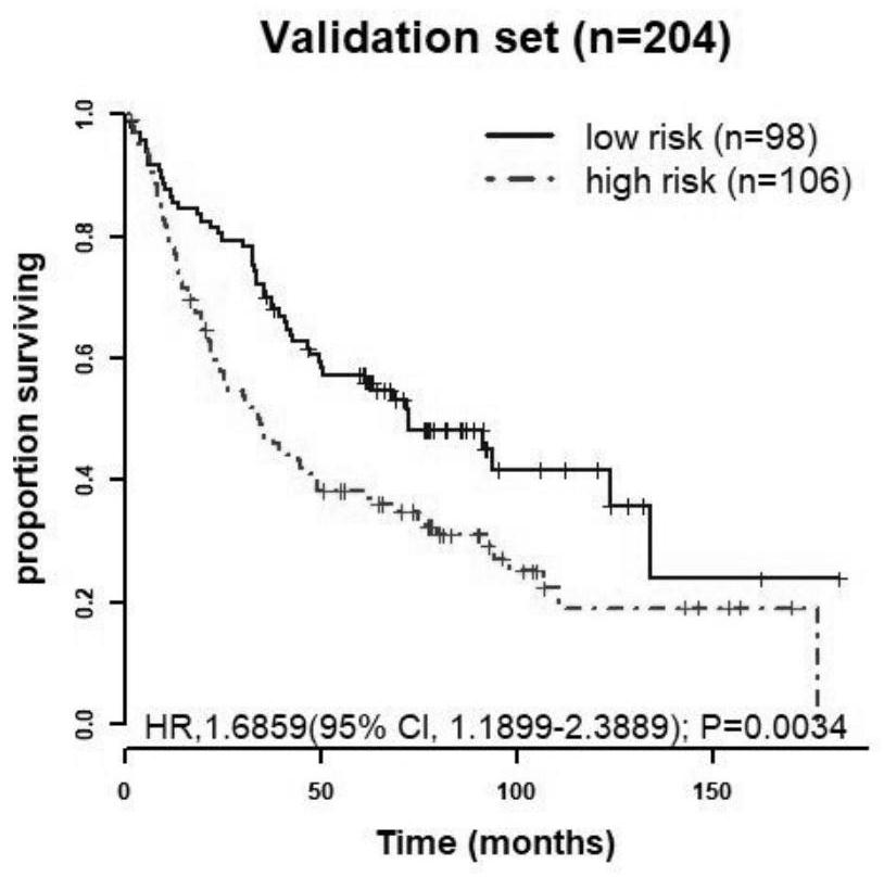 Molecular markers related to the prognosis of non-small cell lung cancer and their application