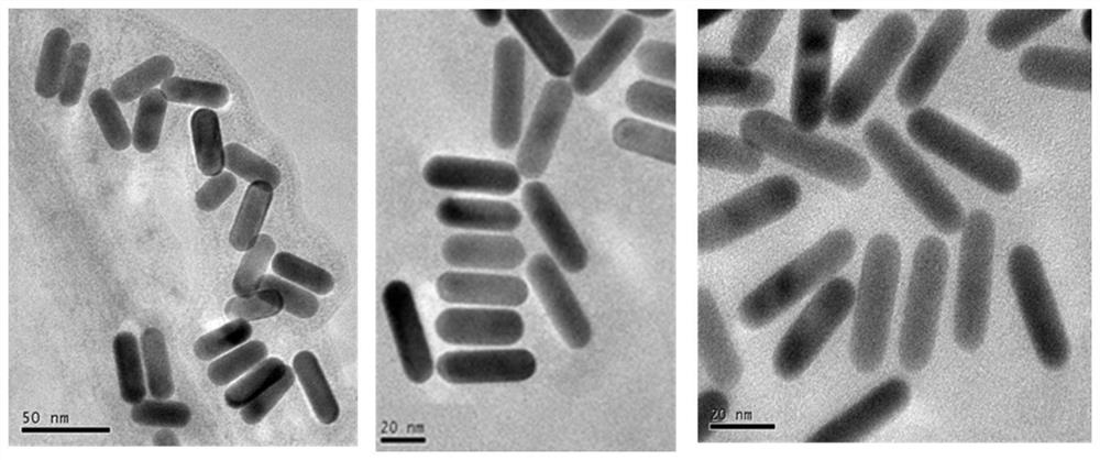 A kind of self-assembly of gold nanorods and its preparation method and application