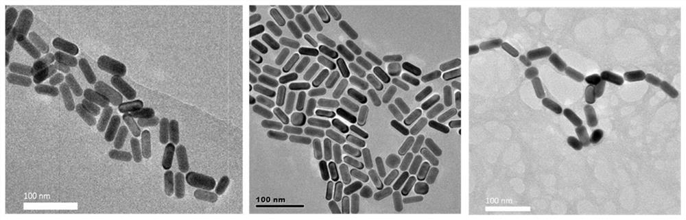 A kind of self-assembly of gold nanorods and its preparation method and application