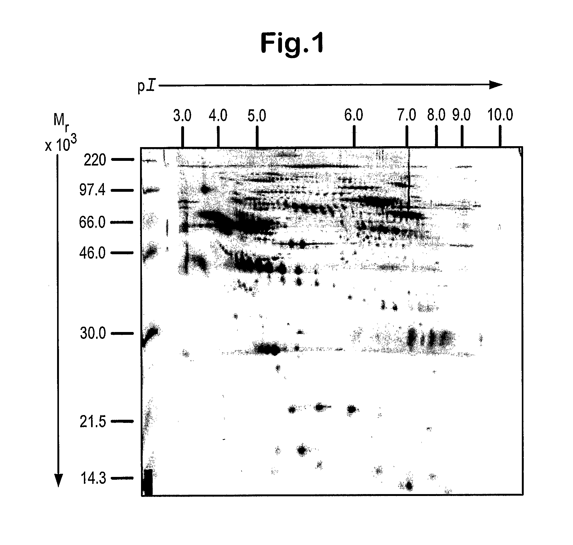 Methods and compositions for monitoring progression of huntington's disease