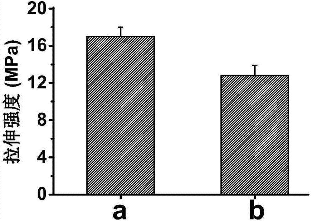 Preparation method of hierarchical drug-loaded cornea repairing material