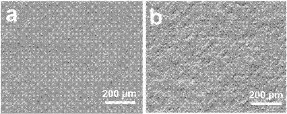 Preparation method of hierarchical drug-loaded cornea repairing material