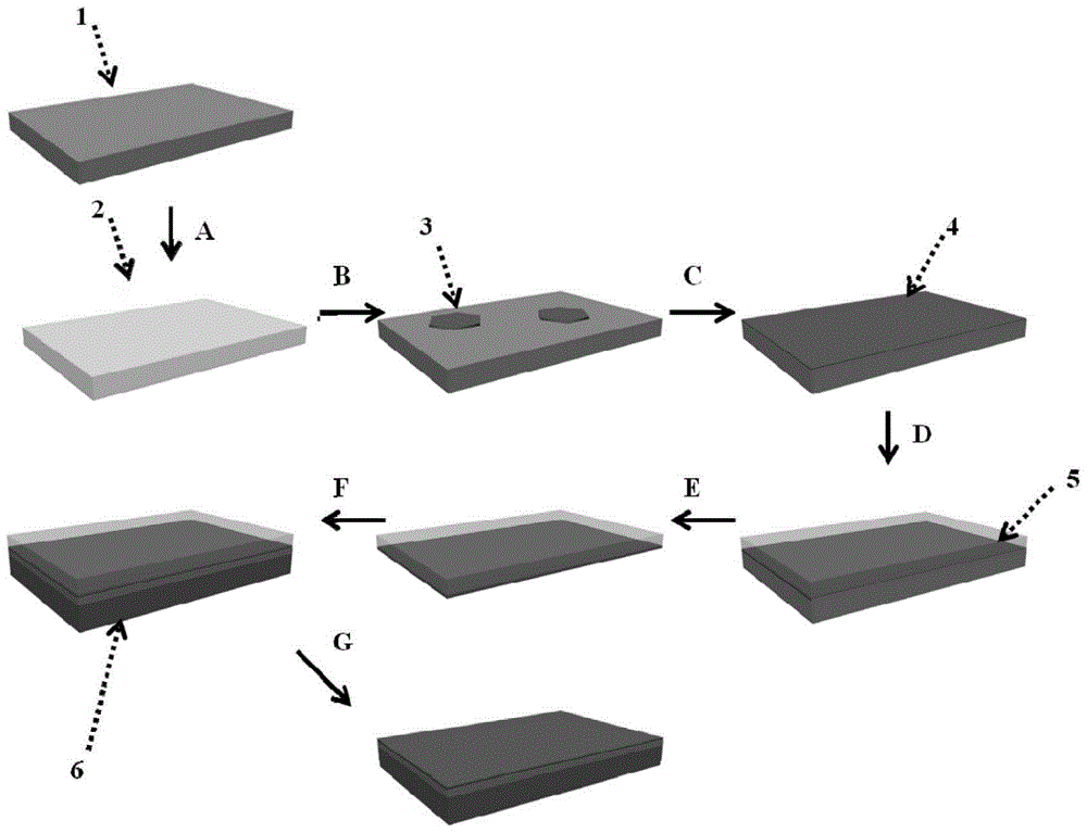 A kind of large single crystal graphene and preparation method thereof