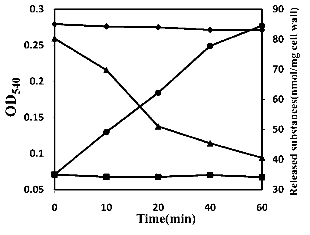 Uvioresistant bacillus thuringiensis strain and building method and application thereof