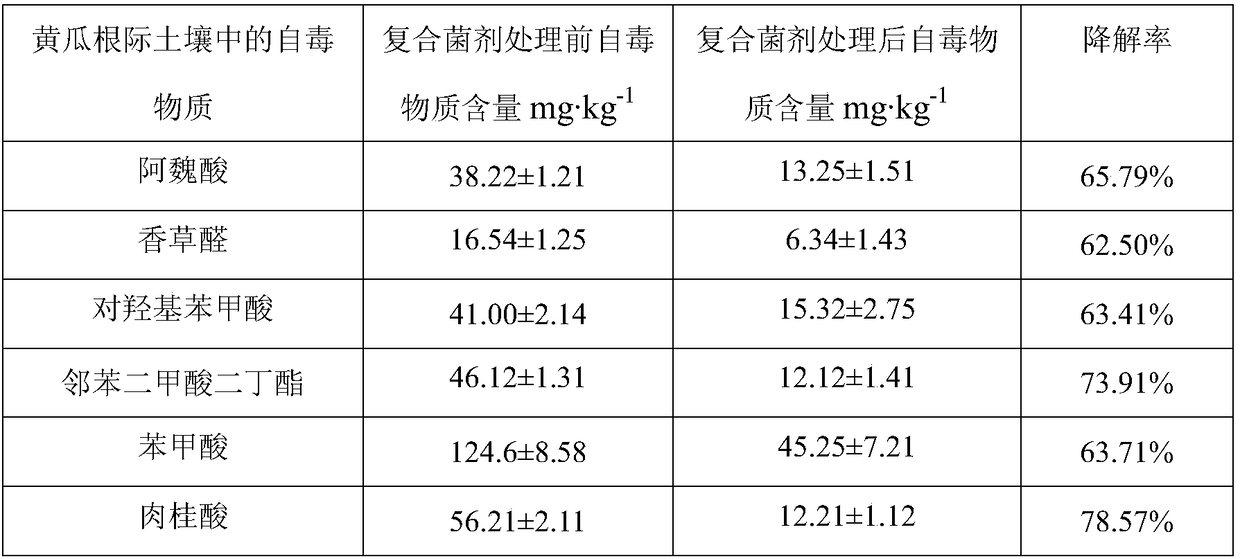 Compound microbial agent for relieving continuous cropping obstacles of melon crops and application