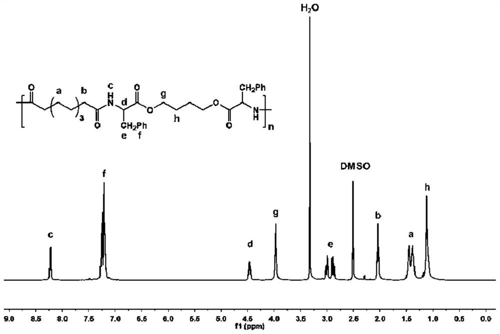 Application of polyesteramide compound in preparation of medicine for preventing and/or treating blood system diseases