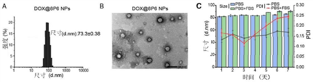 Application of polyesteramide compound in preparation of medicine for preventing and/or treating blood system diseases