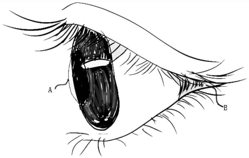 Eyeball protrusion measuring instrument and measuring method