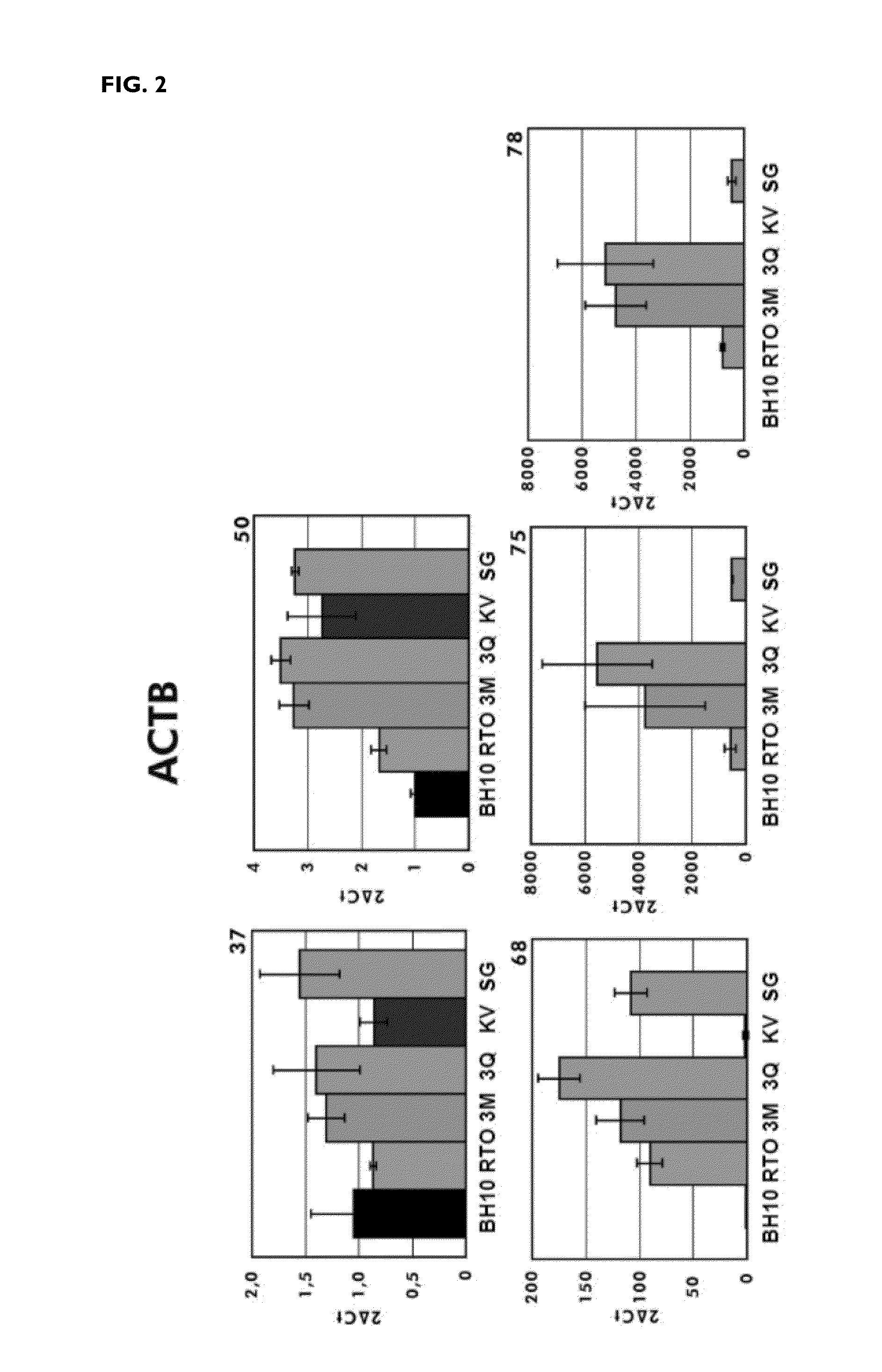 HIV type 1 group o reverse transcriptases that are active at high temperatures