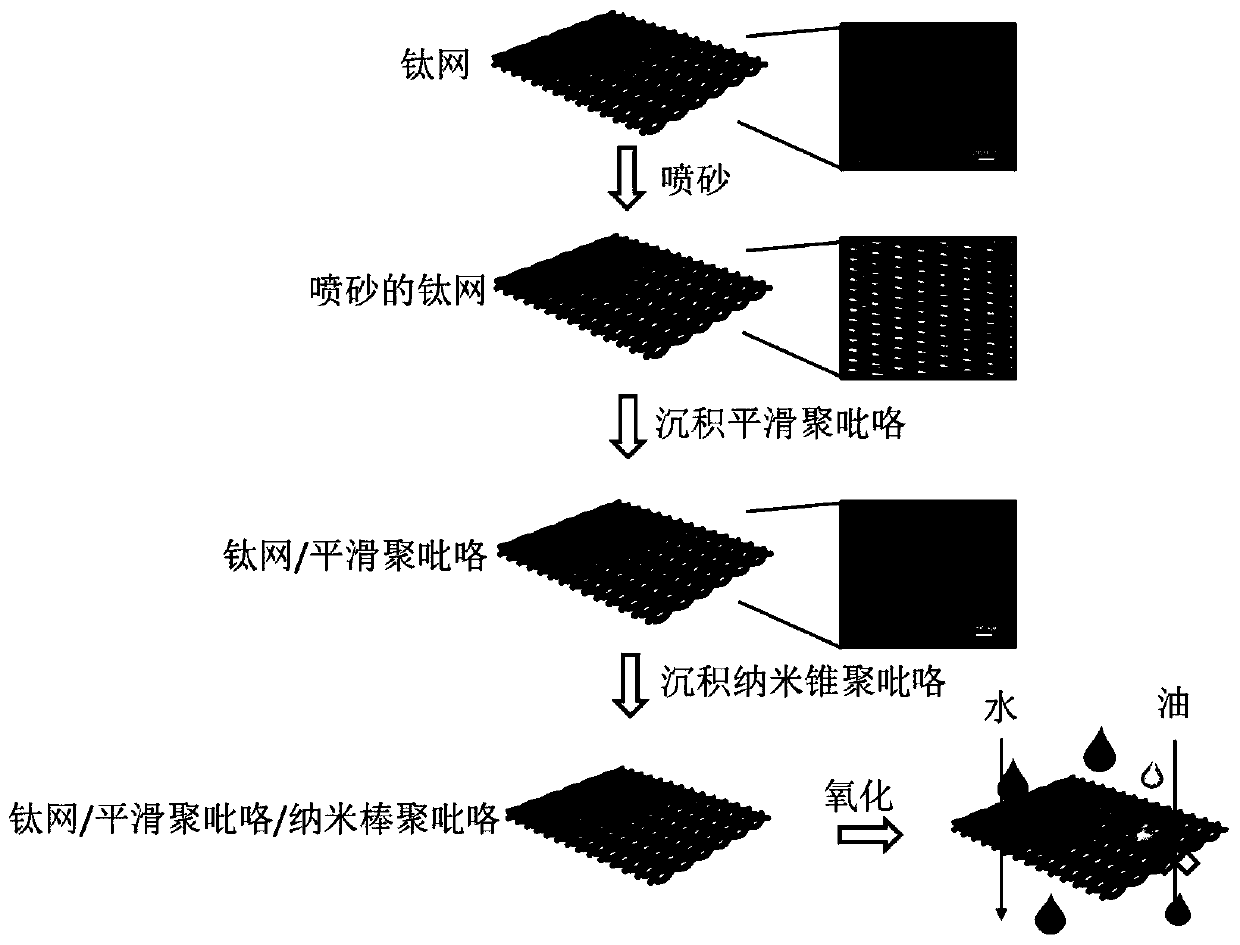 Nanocone structure polypyrrole/metal mesh porous filter membrane and preparation method and application thereof