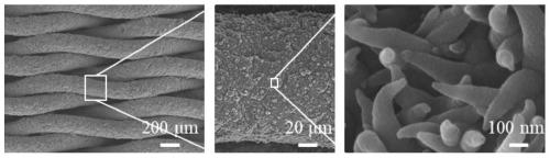 Nanocone structure polypyrrole/metal mesh porous filter membrane and preparation method and application thereof