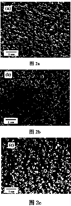 A kind of preparation method of zinc oxide nanotube substrate coated with silver nanoparticles