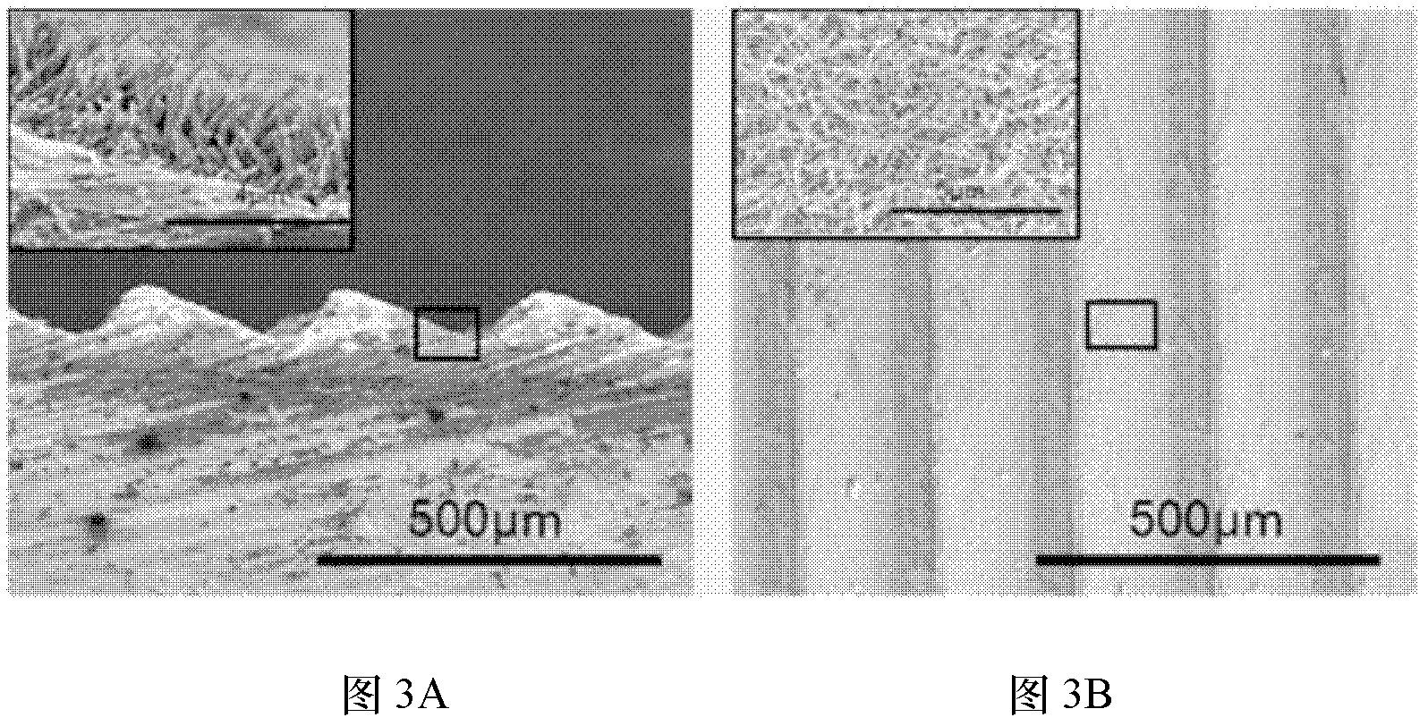 Preparation method of ice coating prevention surface of bionic micro-nano composite structure