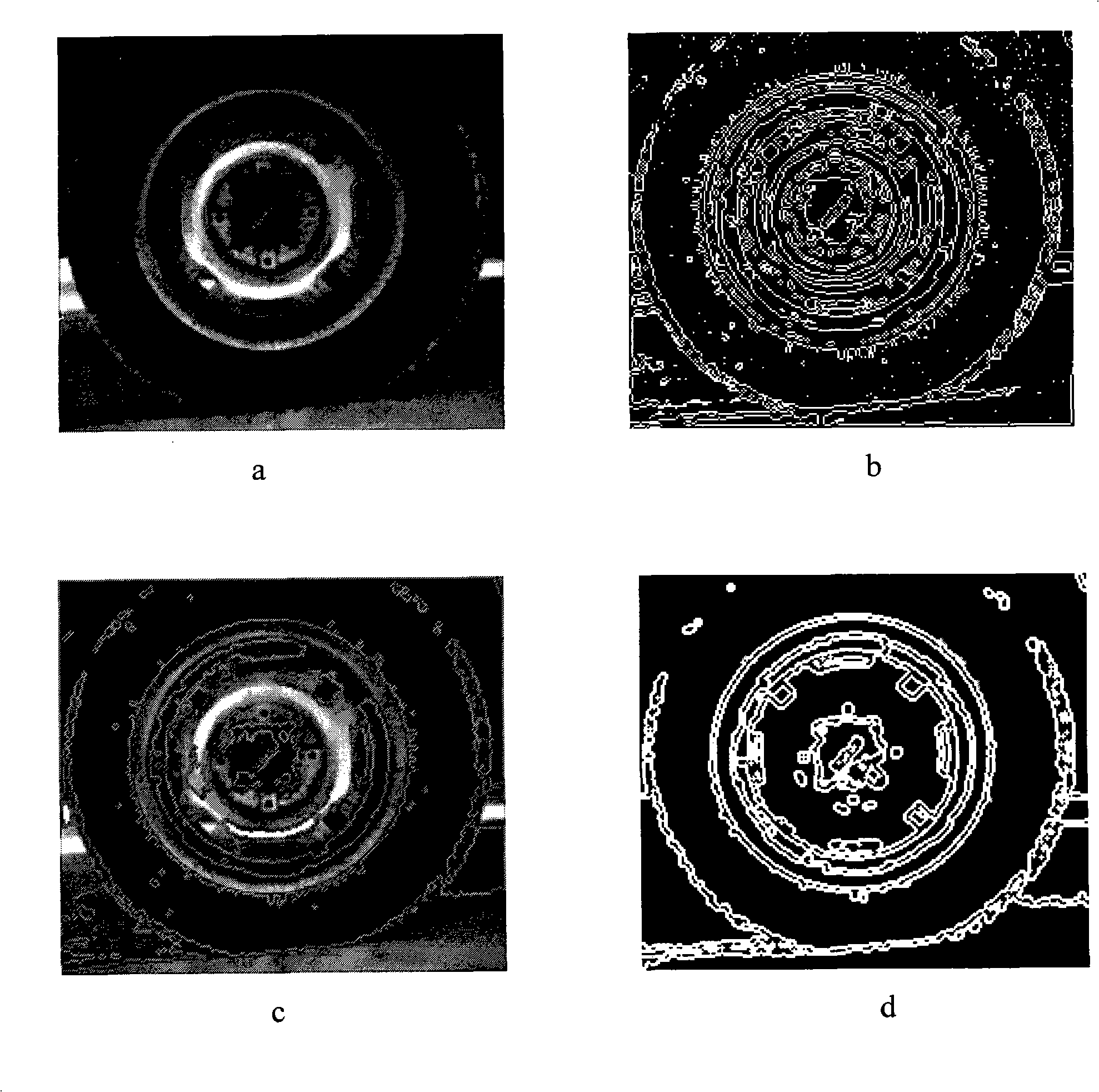 Method of image segmentation based on area upgrowth and ant colony clustering