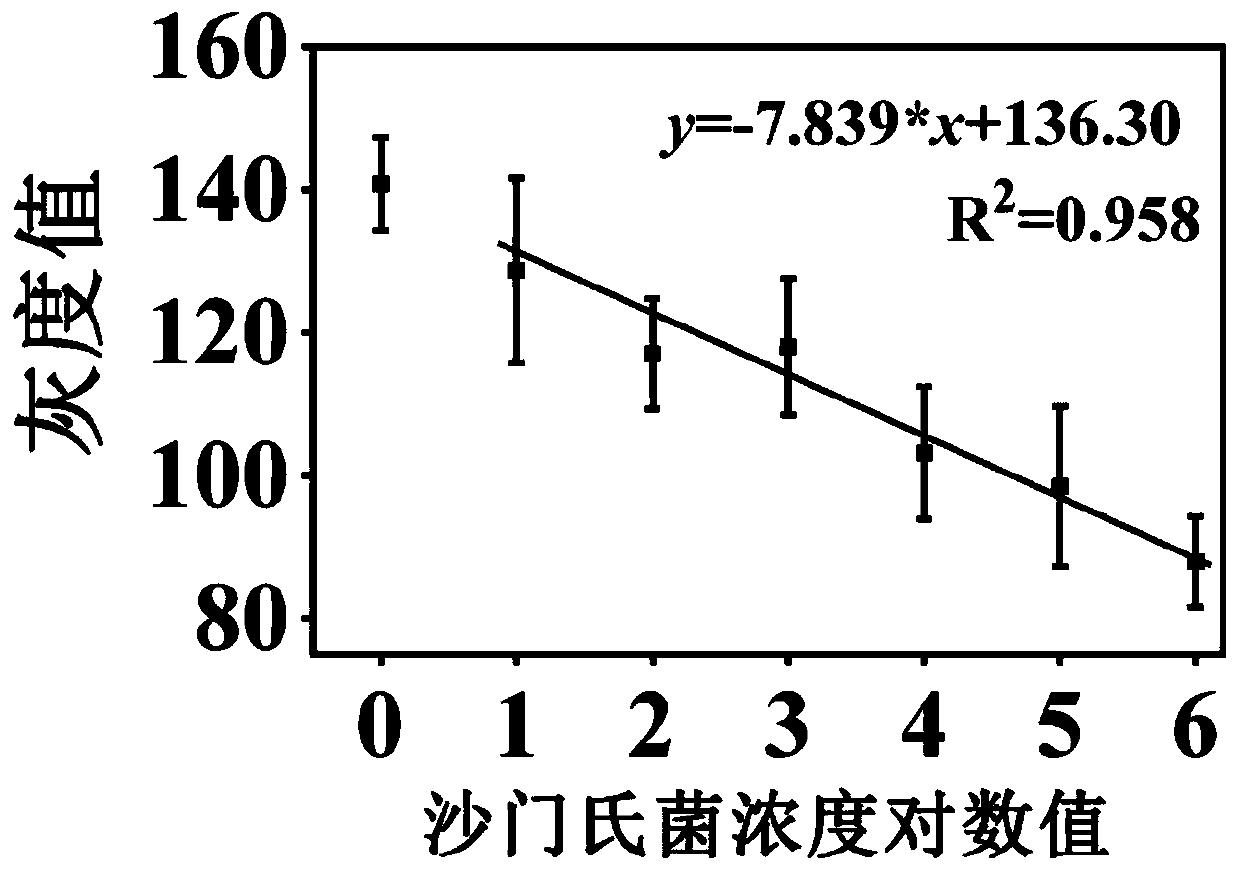 Kit for detecting salmonella typhimurium and preparation method thereof