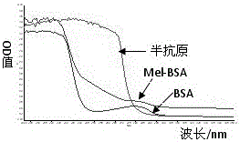 Artificial antigen and antibody for melamine residual immunoassay and preparation method thereof