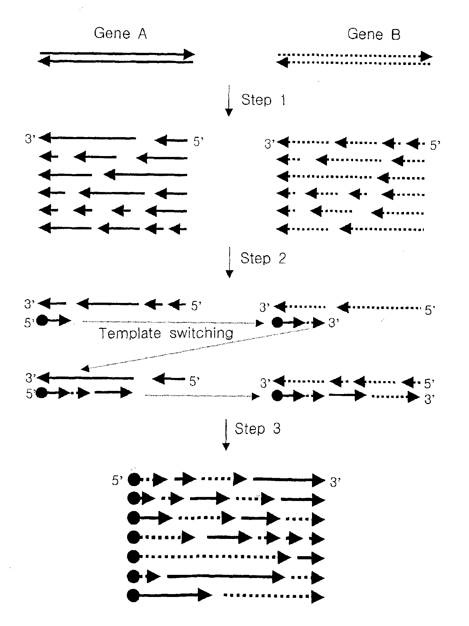 Method for generating recombinant DNA library using unidirectional single-stranded DNA fragments