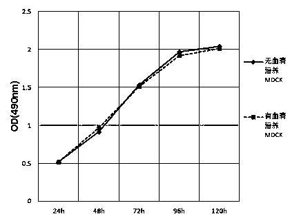 Canine adenovirus I-type inactivated vaccine and preparation method thereof