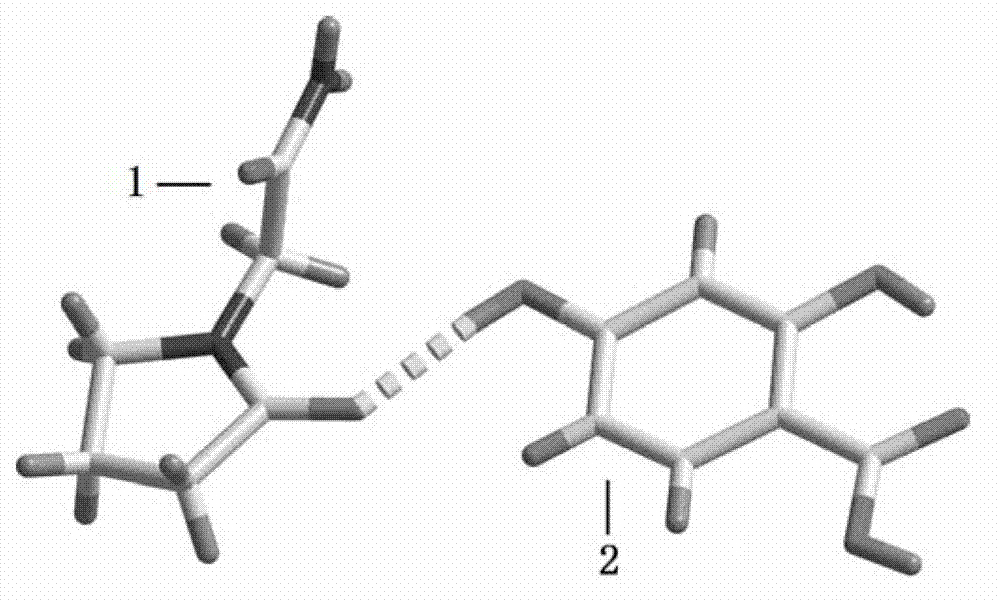 Piracetam pharmaceutical co-crystal using 2,4-dihydroxy-benzoic acid as precursor and preparation method of co-crystal